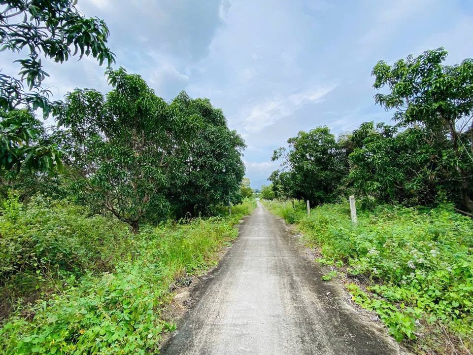 Đất thổ cư Cam Hải Tây 214m² giá chỉ 1.25 tỷ - Sổ hồng chính chủ