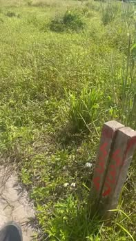 Đất thổ cư Suối Cao, Xuân Lộc 125m² chỉ 300 triệu - Đầu tư sinh lời ngay!