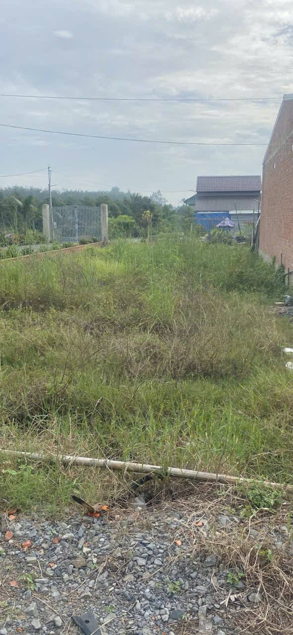 Đất thổ cư 150m² Phường Ninh Thạnh, Tây Ninh - Bán gấp chỉ 330 triệu VND!