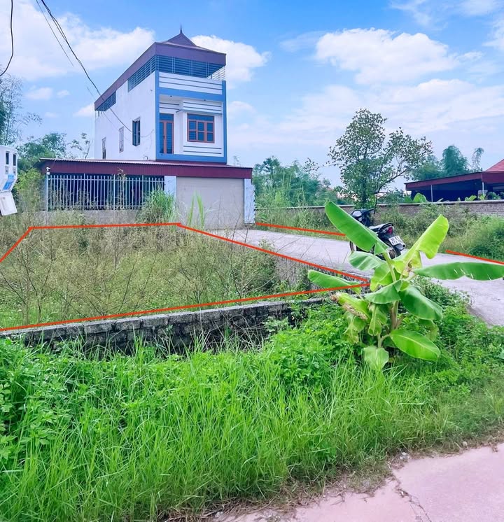 Đất thổ cư Lục Nam Bắc Giang 100m² giá 700 triệu - Đầu tư sinh lời ngay!