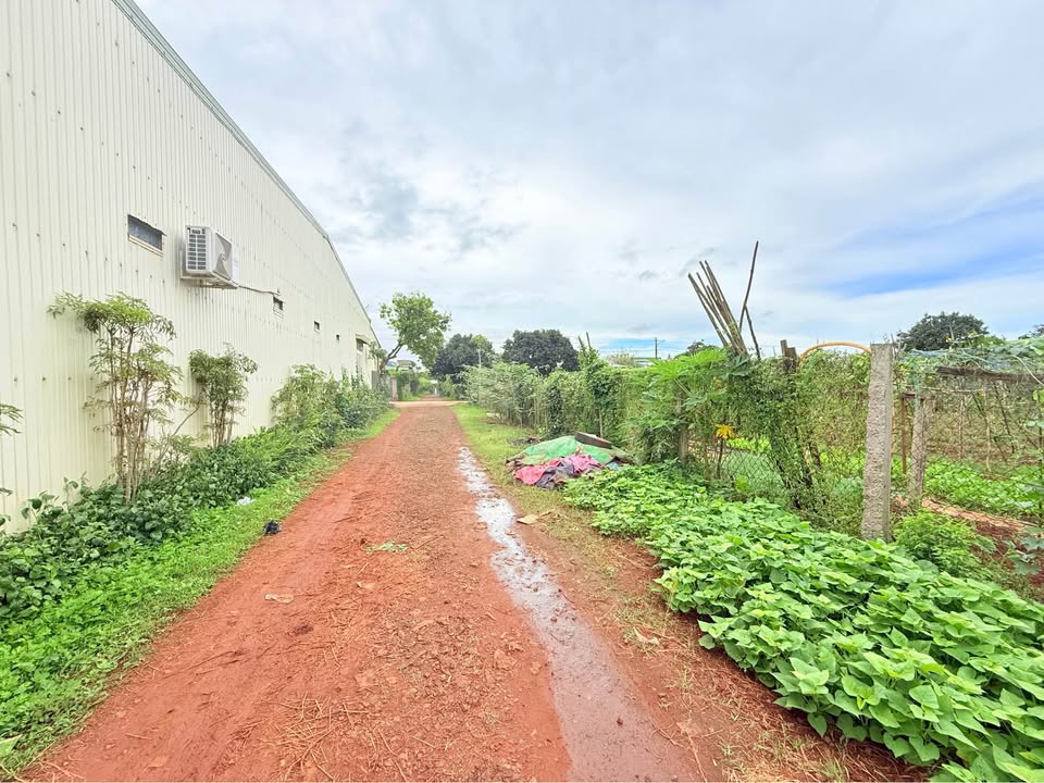 Lô đất hẻm 21 Nguyễn Tuân, Thắng Lợi, 70m² giá 700 triệu - Bán gấp chính chủ!