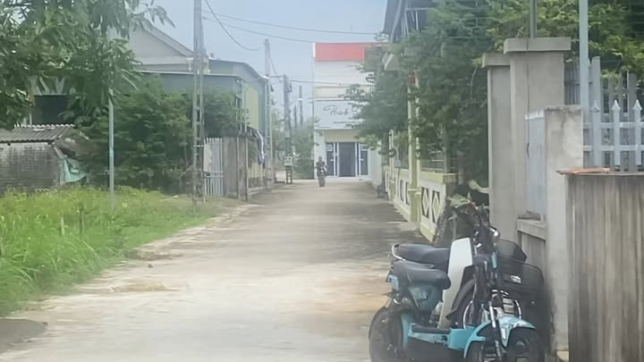 Đất nền Diễn Lâm 290m² giá đầu tư - Cơ hội sở hữu lô đất tiềm năng!