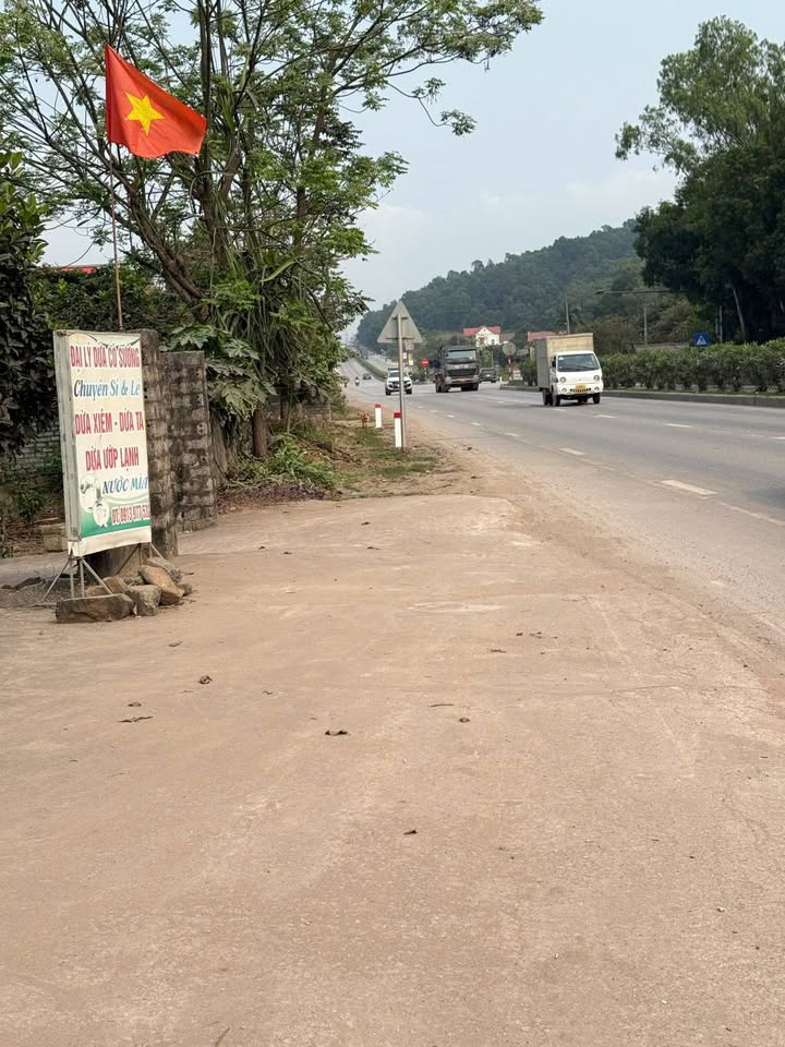 Bán gấp lô đất mặt tiền Quốc lộ 1A, Nghi Lộc giá 6 tỷ - Cơ hội đầu tư sinh lời!