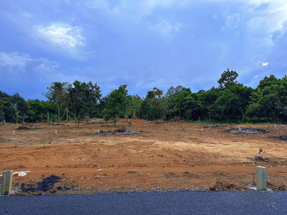 Đất nền 165m² Bình Lộc - Gần Ủy ban, Giá chỉ 1.15 tỷ - Sổ riêng sang tên ngay!