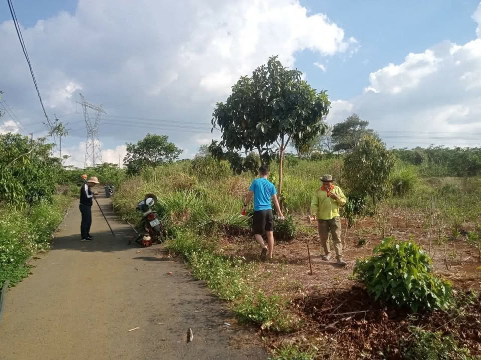 Đất thổ cư Lộc An Bảo Lâm 185m² giá chỉ 330 triệu - Cơ hội đầu tư hấp dẫn!