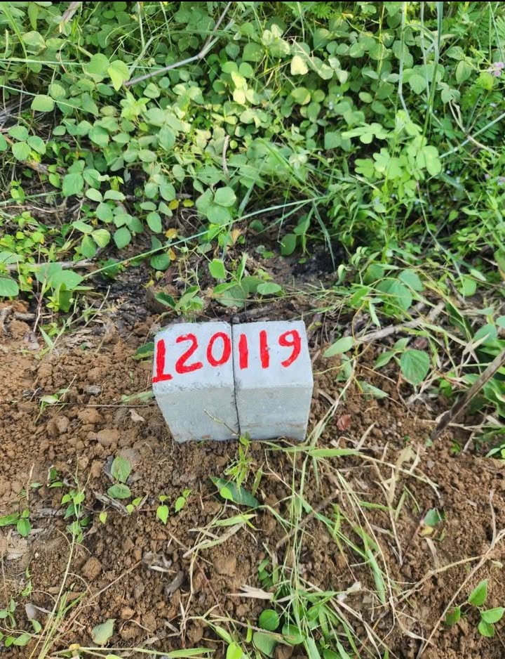 Đất nền Hảo Đước, Châu Thành, Tây Ninh 1066m² giá chỉ 239 triệu - Cơ hội đầu tư hấp dẫn!