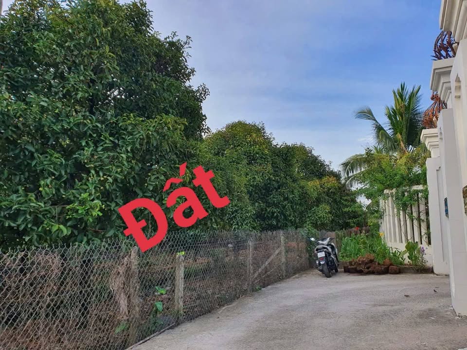 Bán 4 lô đất nhà vườn liền kề tại Phú Thọ, Thủ Dầu Một - Giá chỉ 6.48 tỷ