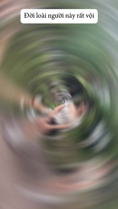 Đất nền Hiệp Bình Phước Thủ Đức 56m² giá 4.6 tỷ - Đầu tư sinh lời ngay!