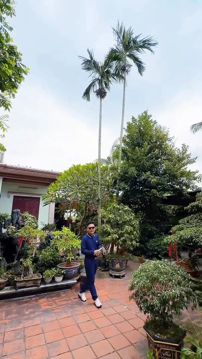 Nhà mặt đường Quốc lộ 354, Tiên Lãng, Hải Phòng - Diện tích 219m², giá thỏa thuận - Vị trí kinh doanh sầm uất