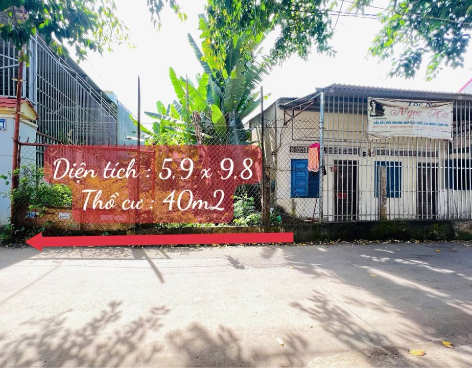 Đất nền hẻm 268 Nguyễn Công Trứ, Tự An 58m² giá 1.75 tỷ - Đầu tư sinh lời ngay!