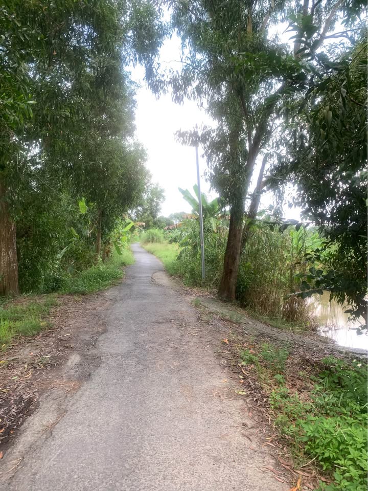 Đất mặt tiền 615m² tại Ô Môn, Cần Thơ - Giá chỉ 780 triệu, chính chủ!