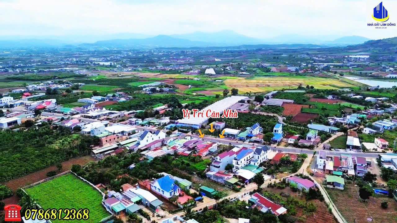 Nhà Kinh Doanh Đắc Địa tại Tân Hội, Đức Trọng, Lâm Đồng - Diện tích 440m² chỉ 5.5 tỷ!