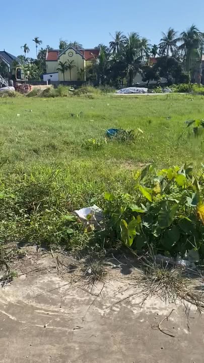 Đất đấu giá xã Tam Đa, Vĩnh Bảo, Hải Phòng - Diện tích 200m², giá đầu tư hấp dẫn chỉ từ 1 tỷ!