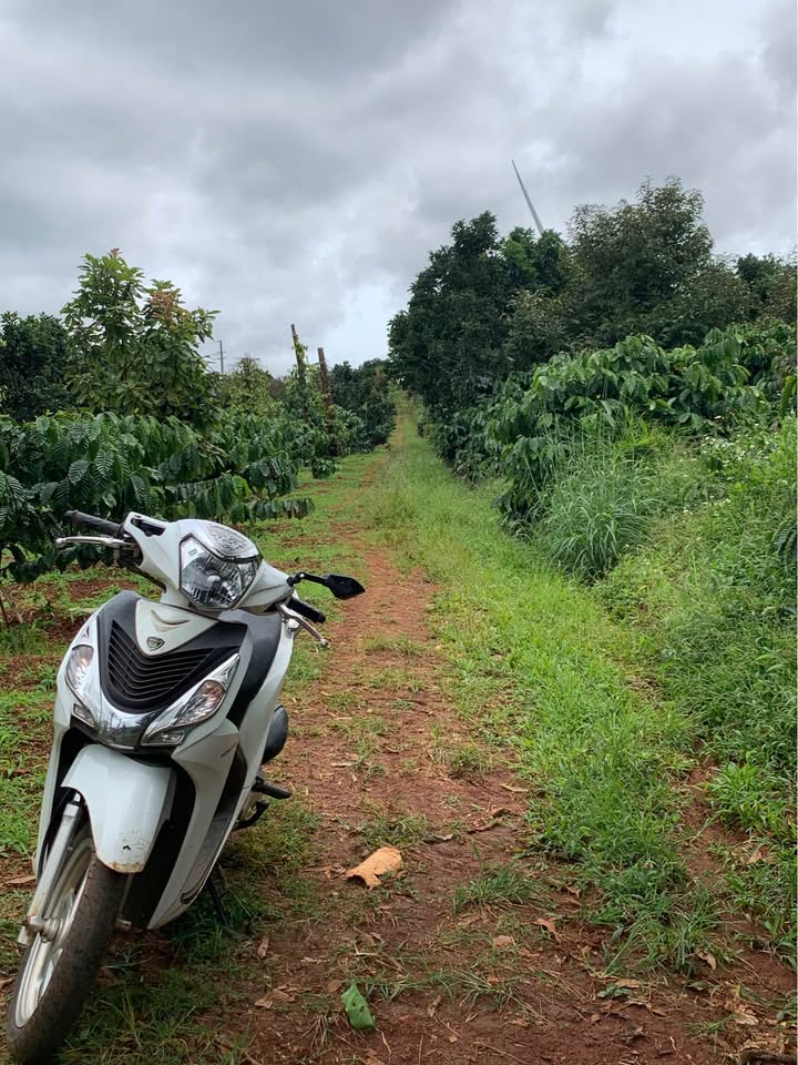 Đất nông nghiệp Ea Nam 30,600m² giá 1.05 tỷ - Cơ hội đầu tư tuyệt vời!