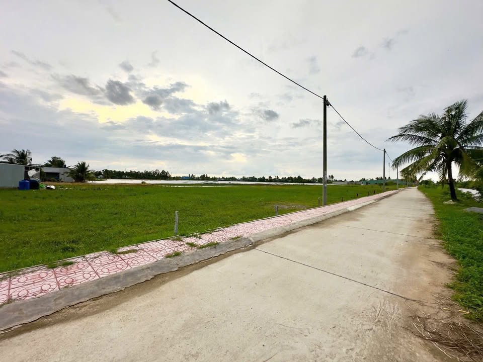 Đất nền thổ cư 200m² tại Thạnh Lộc - An Giang chỉ từ 700 triệu - Nhanh tay sở hữu!