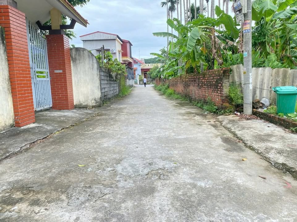 Đất nền Xuân La, Kiến Thụy, Hải Phòng 65m² giá chỉ 900 triệu - Đầu tư sinh lời ngay!