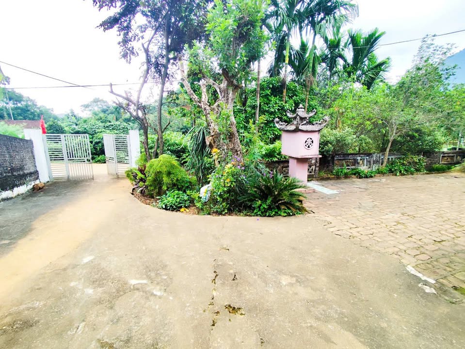 Đất Minh Quang Ba Vì 1000m² giá chỉ 3 tỷ - Tiềm năng đầu tư cao!