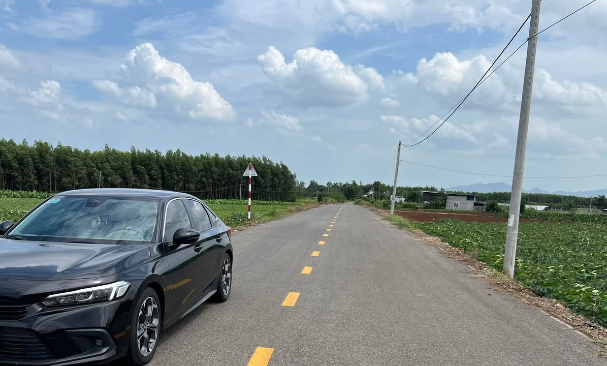 Đất thổ cư 9000m² tại Láng Dài, Đất Đỏ - Giá chỉ 8 tỷ hấp dẫn!