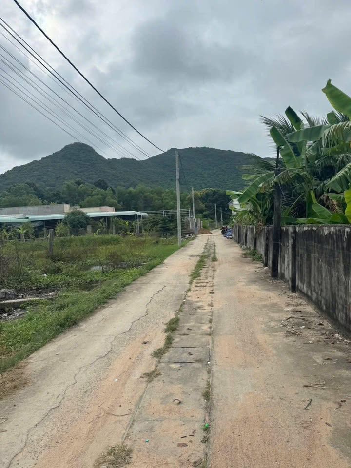 Đất thổ cư Phước Hưng, Long Điền 140m² giá 1.35 tỷ - Mặt tiền đường bê tông rộng rãi!