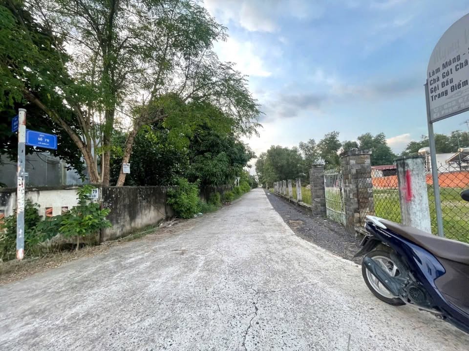 Đất thổ cư Tân Thông Hội Củ Chi 97m² giá 2.3 tỷ - Đầu tư sinh lời ngay!