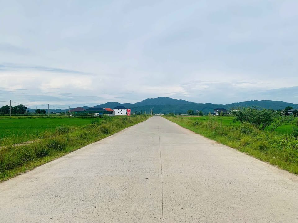 Đất nền Thạch Xuân 250m² giá 3.1 tỷ - Vị trí đắc địa, giao thông thuận lợi!