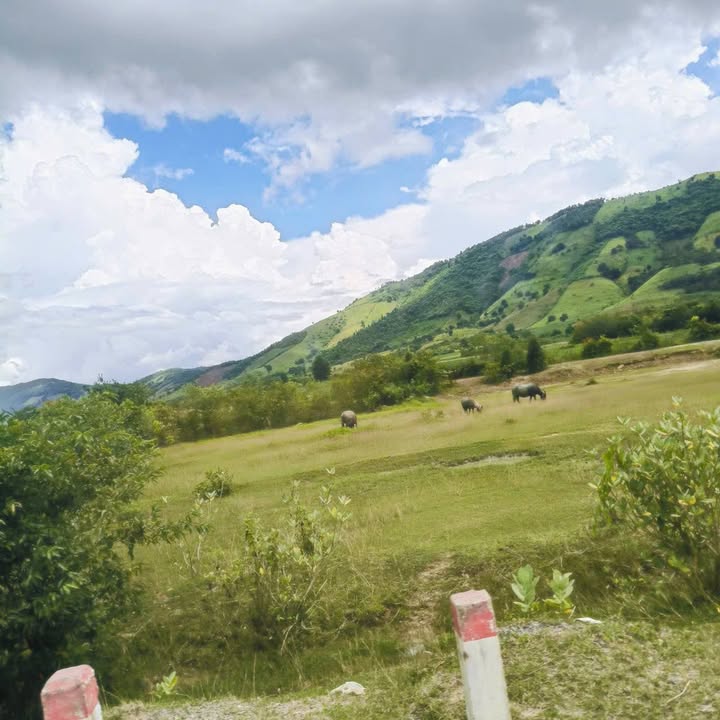 Đất nền mặt đường QL27B, xã Phước Tân, Bác Ái 5500m² giá 1.75 tỷ - Cơ hội đầu tư tuyệt vời!