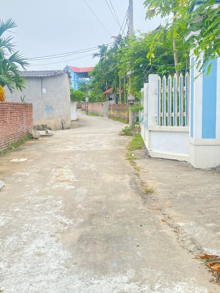 Đất nền Xuân Phú - Yên Dũng 120m² giá 1.3 tỷ - Cơ hội đầu tư sinh lời!