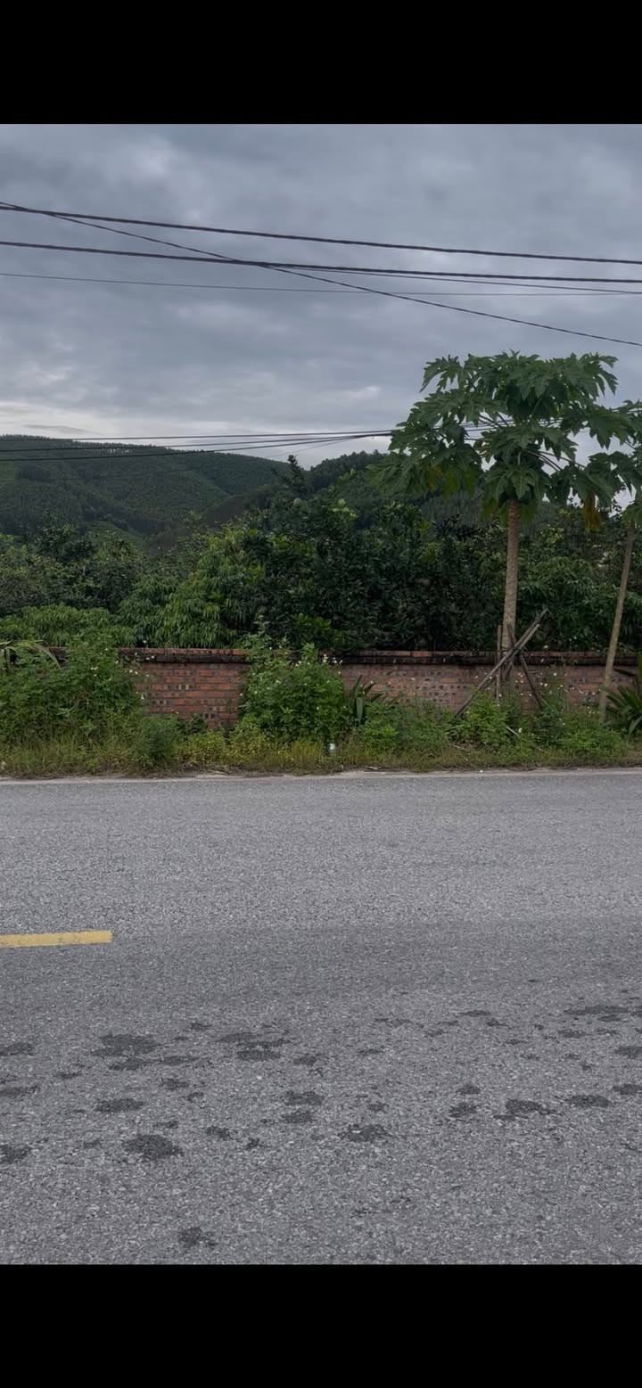 Đất thổ cư 100m² tại thôn Đông Mai, xã Mỹ An - Giá chỉ 1 tỷ VND, chính chủ bán gấp!