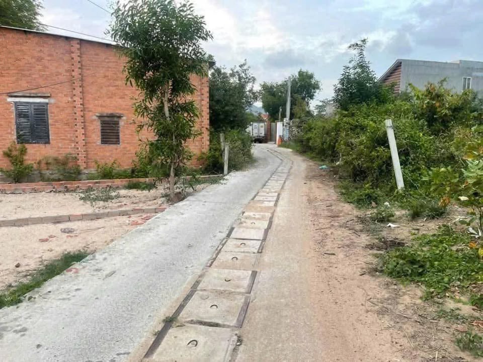 Đất nền Long Hải - 100m² chỉ 1.68 tỷ - Cơ hội đầu tư hấp dẫn!