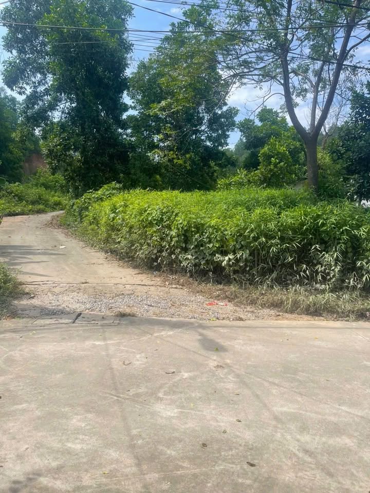 Đất nền Quán Triều Thái Nguyên 500m² giá 1.3 tỷ - Đường rộng ô tô vào tận nơi!