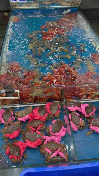 Căn hộ cao cấp 6,5 tầng mặt tiền Thạch Lam 181m² giá 39.5 tỷ - Đầu tư sinh lời ngay!