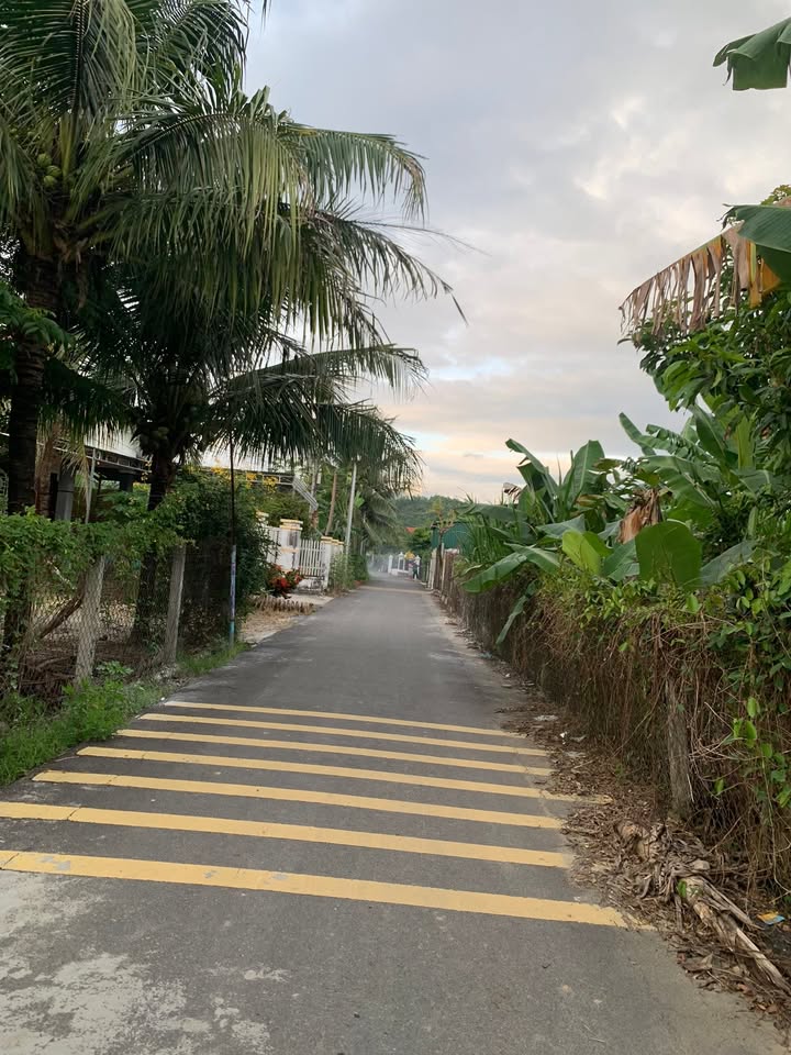 Nhà cấp 4 Diên Thọ, Diên Khánh 175m² giá 1.35 tỷ - Gần đường nhựa thoáng mát