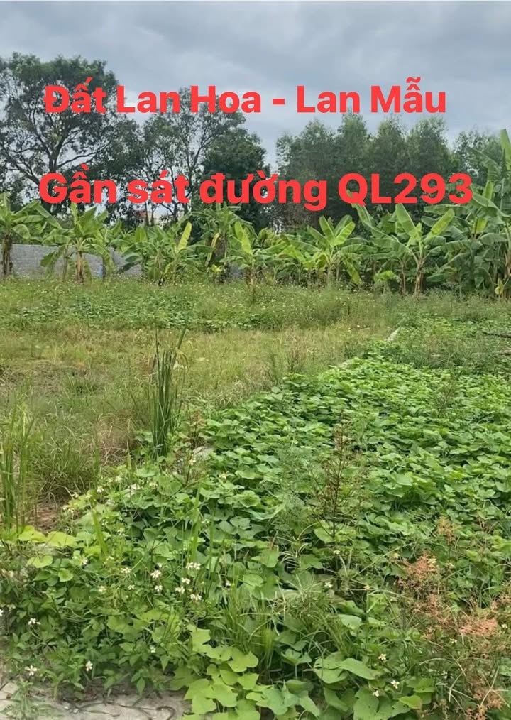 Đất nền Lan Mẫu Lục Nam 200m² - Mặt tiền rộng 10m, giá thỏa thuận!