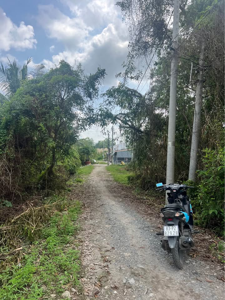 Đất nền 350m² Hẻm 12 đường Triệu Quang Phục, Sóc Trăng giá 800 triệu - Đầu tư sinh lời ngay!