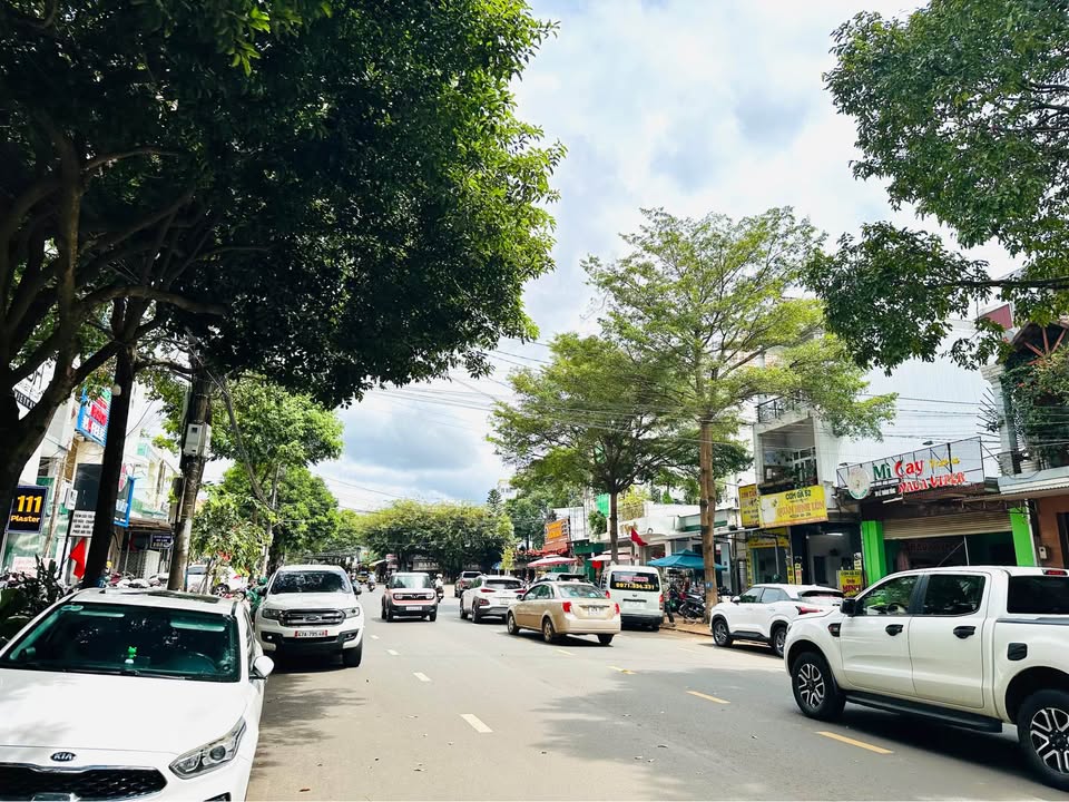 FrontHouse đường Lê Thánh Tông Buôn Ma Thuột 85m² giá 16.8 tỷ - Vị trí đắc địa kinh doanh!