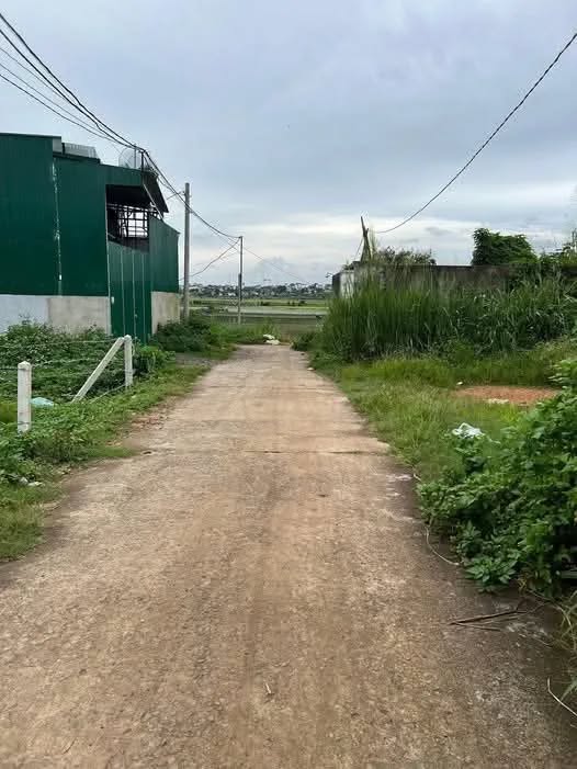 Đất nền Phú Hội, Đức Trọng, Lâm Đồng 155m² giá 1.2 tỷ - Khu dân cư đông đúc!