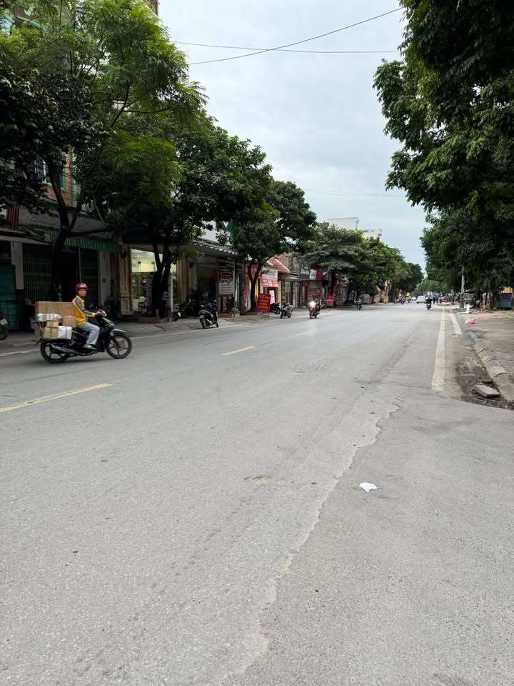 Đất mặt đường 419, TDP Tế Tiêu, 60m² - Cơ hội đầu tư sinh lời tốt!