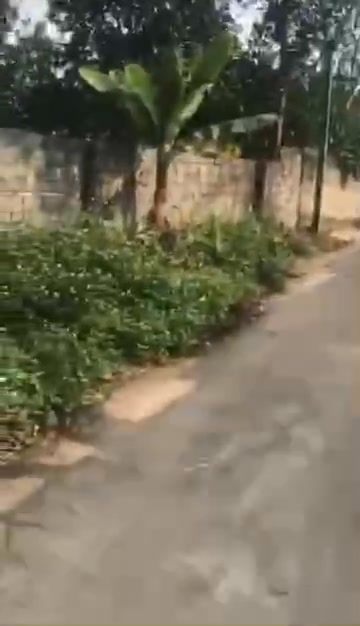 Đất nền Đan Thượng Hạ Hòa 752m² giá 1 tỷ - Đầu tư lý tưởng cho nhà vườn!