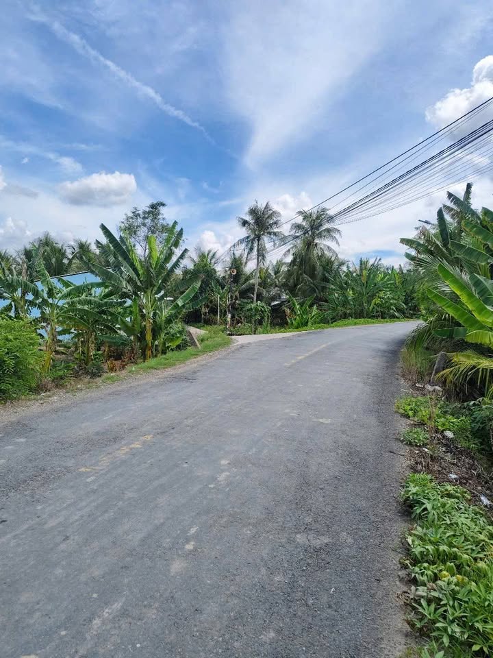 Đất nền mặt tiền đường Trần Đại Nghĩa, Long Phú, 6500m² - Giá chỉ 6.5 tỷ thương lượng!