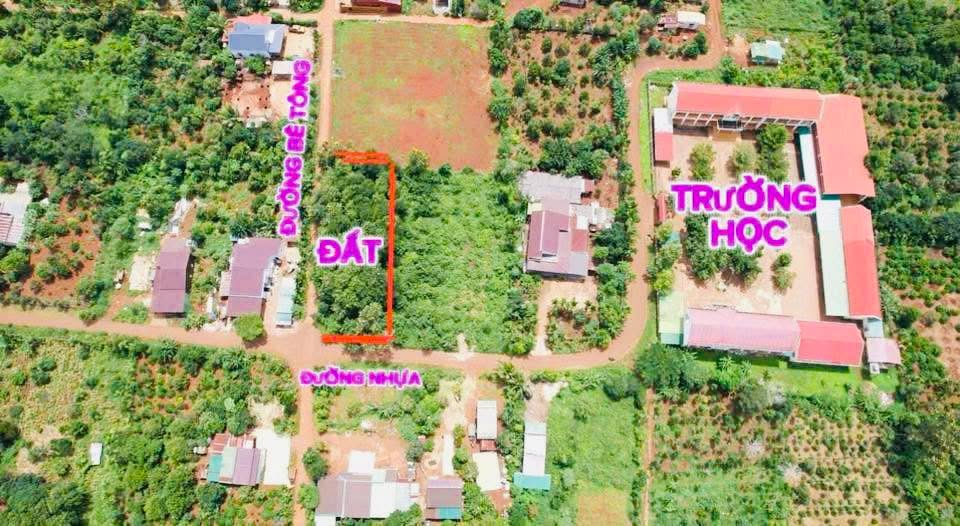 Đất nền kinh doanh mặt tiền Đường Nhựa 550m² - Giá 799 triệu tại Buôn Hồ