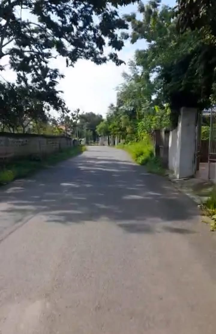 Đất nền 550m² tại khu Quyết Tiến, Cự Đồng - Giá chỉ 2 tỷ - Kinh doanh thuận lợi!