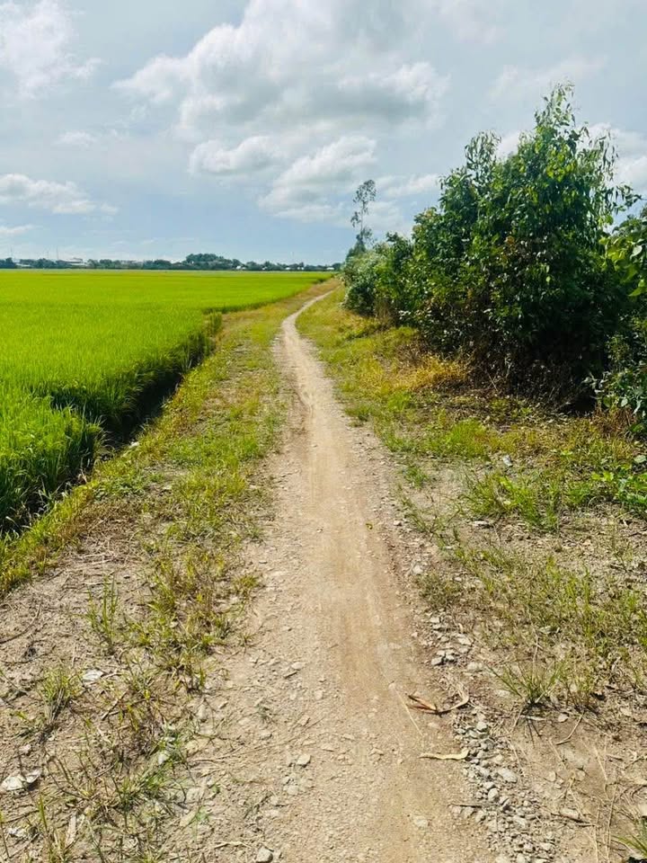 Đất nông nghiệp Vĩnh Khánh 29.000m² giá 3.77 tỷ - Đầu tư sinh lời ngay!