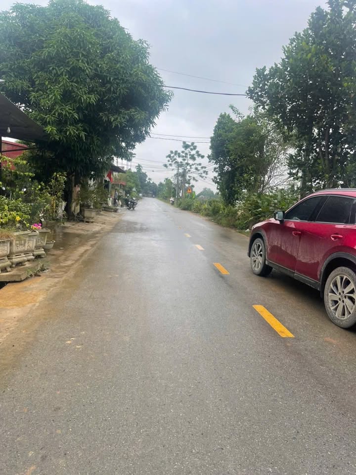 Đất thổ cư đường tỉnh lô Y can Quy Mông 168m² - Tiềm năng phát triển vượt bậc!