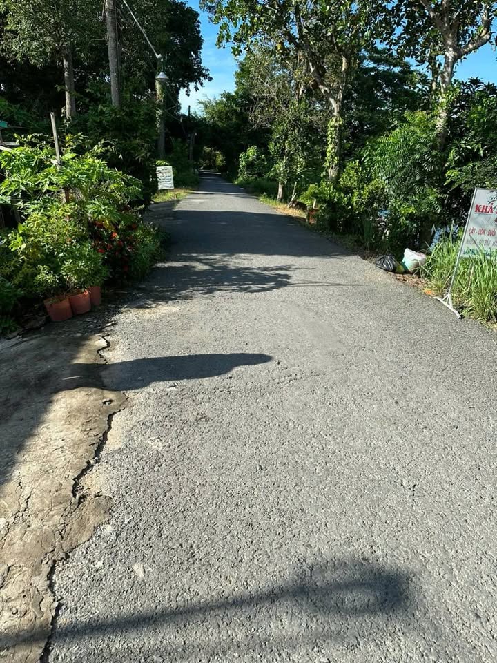 Đất nền ấp Thanh Tiến, xã Nhị Mỹ, 176m² giá 750 triệu - Cơ hội đầu tư lý tưởng!