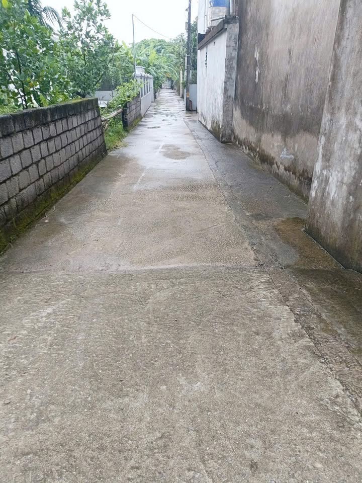 Đất ở xã Hương Sơn, 250m² giá chỉ 2.5 tỷ - Cơ hội đầu tư tuyệt vời!