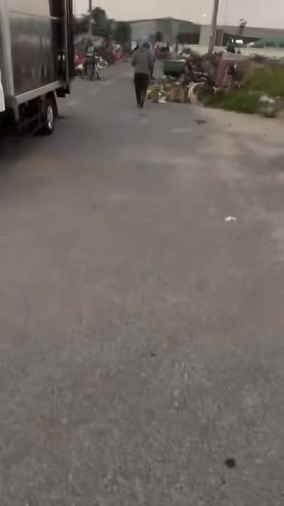 Đất nền Tam Đa Phù Cừ 90m² giá 2.5 tỷ - Cơ hội đầu tư hấp dẫn!