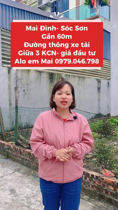 Đất nền 60m² phường Mai Đình, Sóc Sơn - Giá đầu tư hấp dẫn!