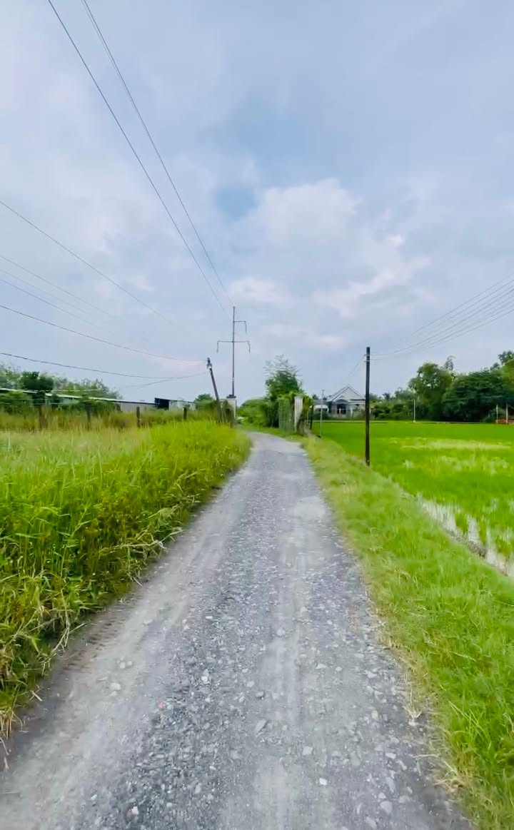 Đất thổ cư Vĩnh Tây, Cần Giuộc 1578m² giá 3.5 tỷ - Đầu tư lâu dài lý tưởng!