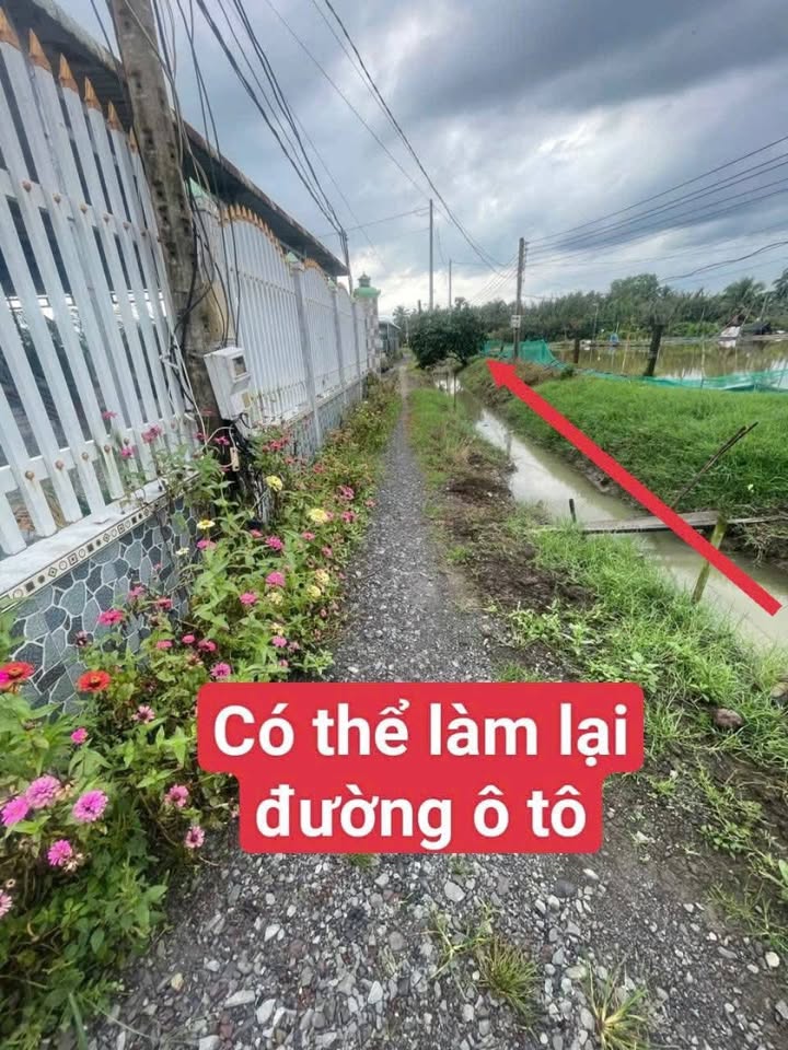 Đất thổ cư 1600m² tại Nhựt Ninh, Tân Trụ - Sổ hồng chính chủ, giá 1.15 tỷ!