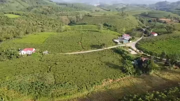 Đất nền Văn Luông - Tân Sơn 800m² giá chỉ 600 triệu - Cơ hội vàng cho đầu tư!